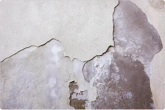 Drywall Repair After Water Damage