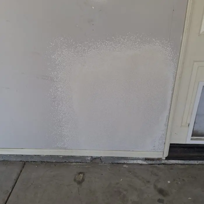 dog door repaired