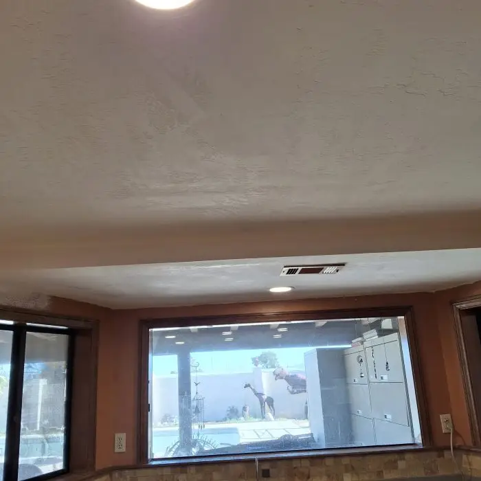 water damage celing repaired