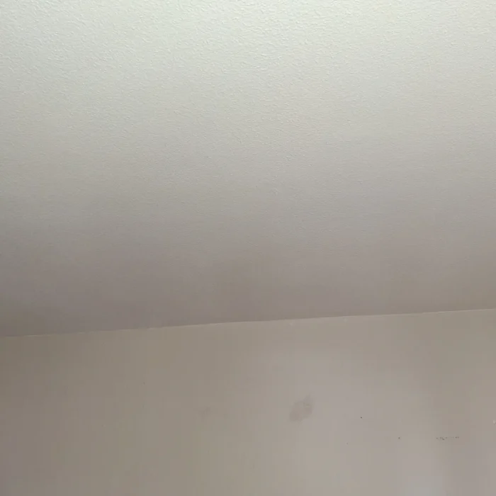 Finished ceiling after patch