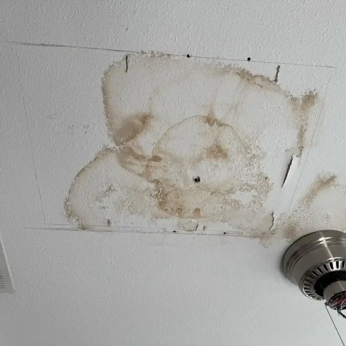 Marked ceiling stain before removal