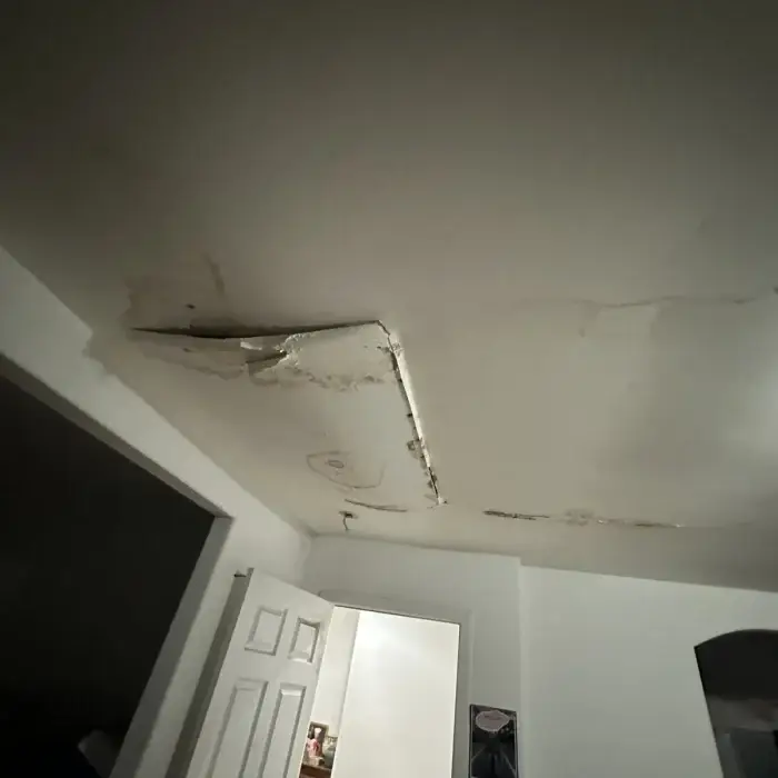 Peeling water-damaged ceiling