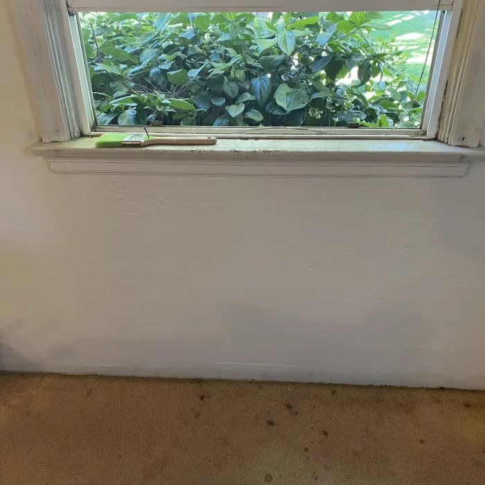 Repaired wall below window