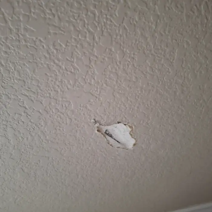 Wall hole with hanging flap