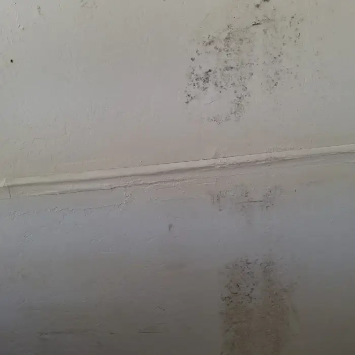 Water damaged wall seams