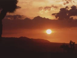 By Jessie Eastland - Own work, CC BY-SA 3.0, https://commons.wikimedia.org/w/index.php?curid=22861090